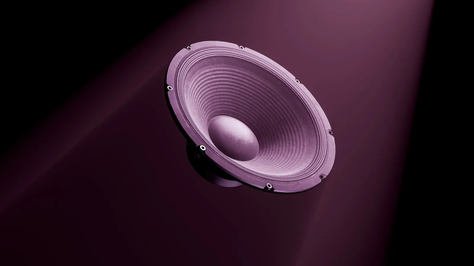 a speaker